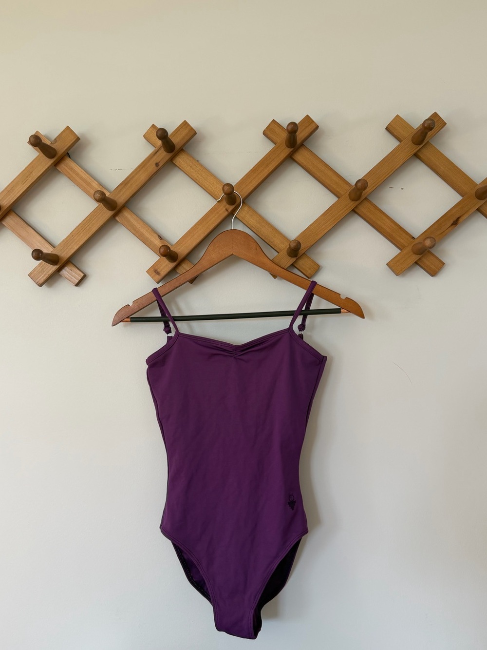 Purple Ballet Leotard | Petite